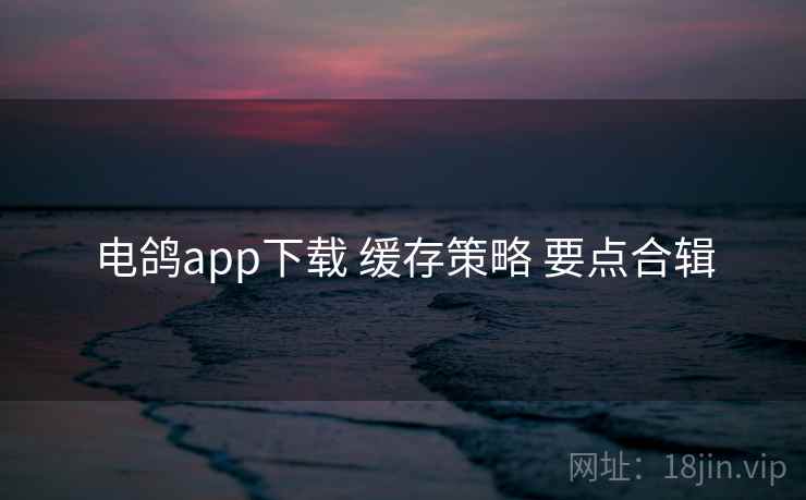 电鸽app下载 缓存策略 要点合辑