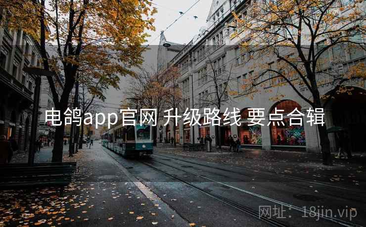 电鸽app官网 升级路线 要点合辑