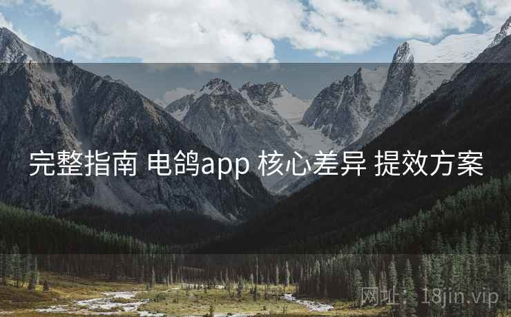 完整指南 电鸽app 核心差异 提效方案 完整指南 电鸽app 核心差异 提效方案