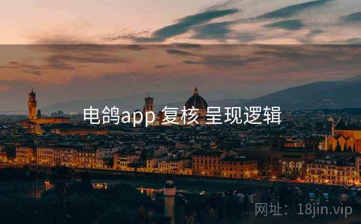 电鸽app 复核 呈现逻辑 电鸽app 复核 呈现逻辑
