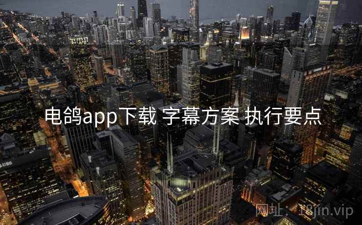 电鸽app下载 字幕方案 执行要点 电鸽app下载 字幕方案 执行要点