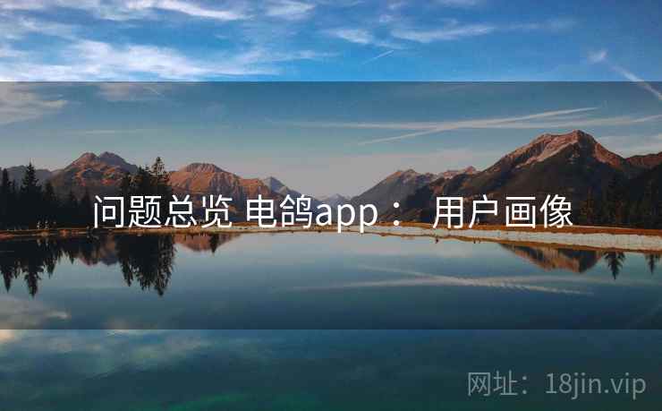 问题总览 电鸽app ： 用户画像