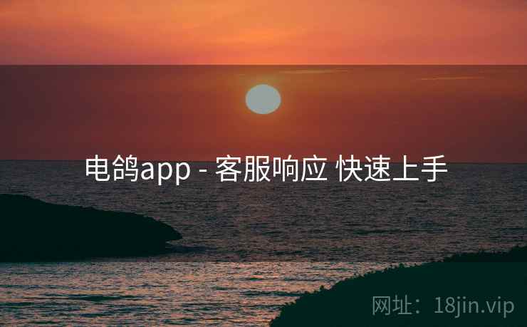 电鸽app - 客服响应 快速上手 电鸽app - 客服响应 快速上手