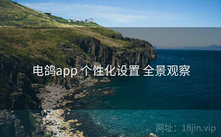 电鸽app 个性化设置 全景观察 电鸽app 个性化设置 全景观察